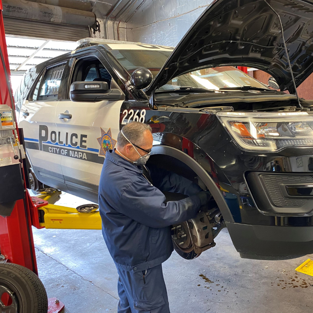 Ideal candidates for this role will have shown success in demonstrating the following competencies: